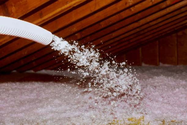 Best Insulation Installation Services in Porcupine, SD