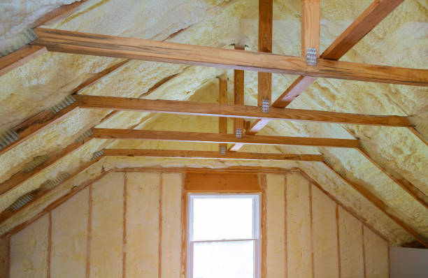 Best Insulation Installation Services in Porcupine, SD